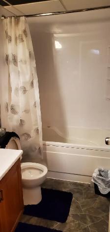 1 bedroom full basement - Photo 4
