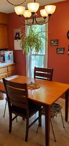 1 bedroom full basement - Photo 8