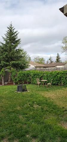 1 bedroom full basement - Photo 10