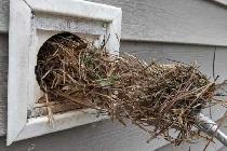 Seasonal Fire prevention sale!! - Photo 2