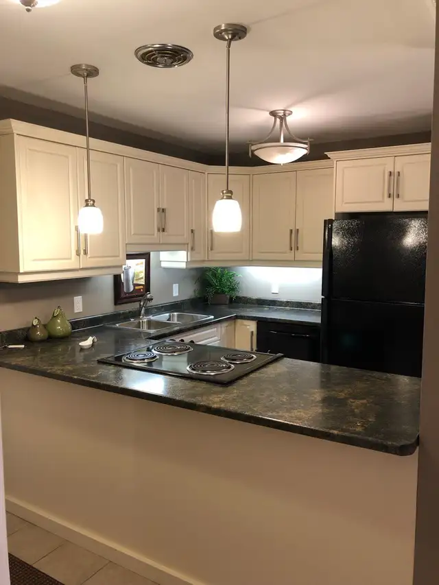 Furnished 1-Bedroom Near Sarnia Waterfront – Aug. 1