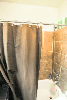 Furnished 1-Bedroom Near Sarnia Waterfront – Aug. 1 - Photo 5