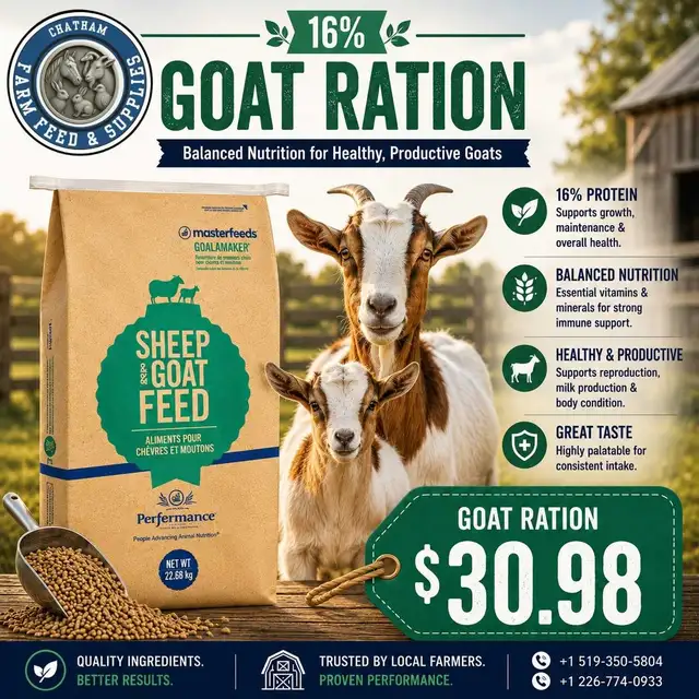 16% Goat Ration