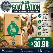 16% Goat Ration