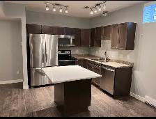 New Large Open Concept One King Size Bedroom