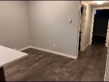 New Large Open Concept One King Size Bedroom - Photo 5