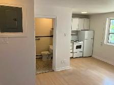 Centretown Bachelor/Studio Apartment for Rent -192 Somerset St W - Photo 3