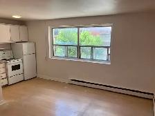 Centretown Bachelor/Studio Apartment for Rent -192 Somerset St W - Photo 4