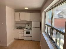 Centretown Bachelor/Studio Apartment for Rent -192 Somerset St W - Photo 5