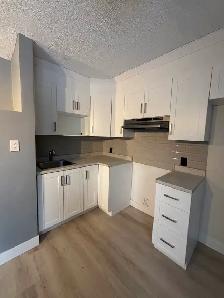 4.5 APPARTEMENT POINT AUX TREMPLES - Photo 9