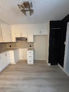 4.5 APPARTEMENT POINT AUX TREMPLES - Photo 11