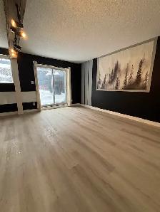 4.5 APPARTEMENT POINT AUX TREMPLES - Photo 13