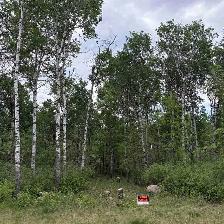 2 Acre Lot For Sale