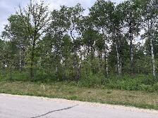 2 Acre Lot For Sale - Photo 2