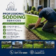 landscaping/Sodding/Lawn Maintenance