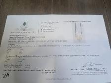 Brand New 10K Yellow Gold Diamond Necklace For Sale - Photo 7