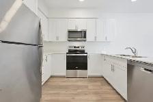 4 Bedroom Unit Available July 1