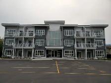 York Apartments #206
