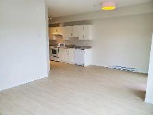 York Apartments #206 - Photo 3