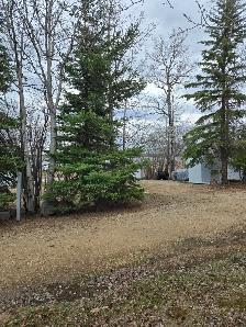 Lakefront RV Lot in Cosy Cove Campground - Photo 14