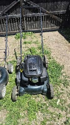 grass cuting & garden cleaning - Photo 2
