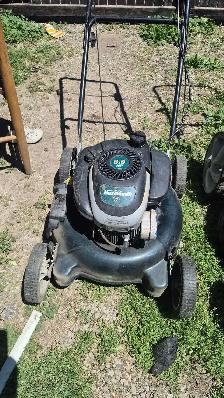 grass cuting & garden cleaning - Photo 3