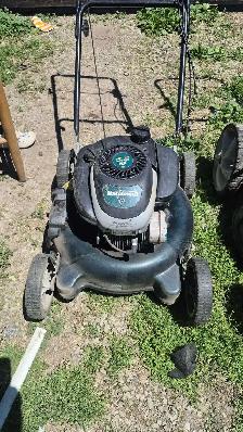 grass cuting & garden cleaning - Photo 4