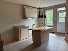 superbe très grand 5 1/2, Limoilou, Libre, Chauffé - Photo 3