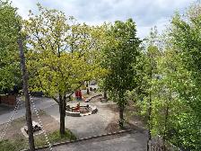superbe très grand 5 1/2, Limoilou, Libre, Chauffé - Photo 5