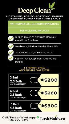 EXPERIENCED CLEANING LADY - Flat Rate we bring Cleaning Supplies - Photo 2