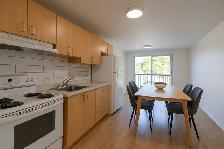 Studio à Louer | Studio for Rent | Sherbrooke - Photo 3