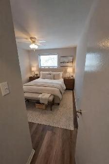 FERGUSLIE PARK APTS - 1 BDRM Suite - Available Now! - Photo 6