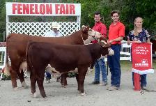 LOOKING FORWARD TO THE ANNUAL FENELON FAIR - Photo 2