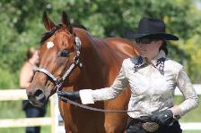 LOOKING FORWARD TO THE ANNUAL FENELON FAIR - Photo 3