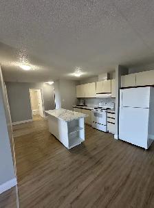 Two Bedroom Available Now Minnow Lake - Photo 2