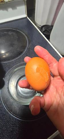 Farm Fresh Eggs 3.75$ a Dozen - Photo 4