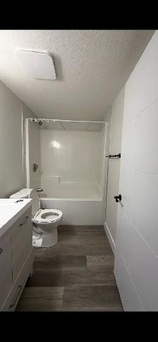 New- 2 Bedroom Suite for Rent - Photo 6