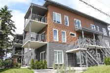 Appartement 4 1/2 Lévis - Photo 11