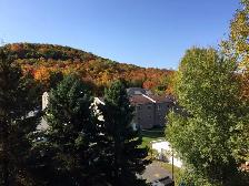 4 1/2 Bromont - Photo 2