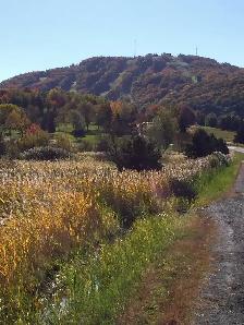 4 1/2 Bromont - Photo 3