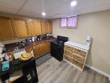 2 Bedroom Basement Suite for Rent - North Park - Photo 6