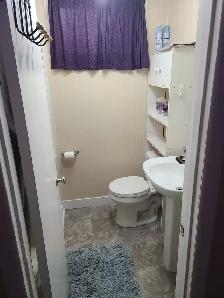 2 Bedroom Basement Suite for Rent - North Park - Photo 7