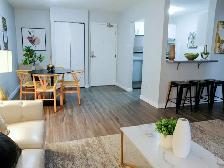 1 Bed 1 Bath Apartment For Rent - Photo 3