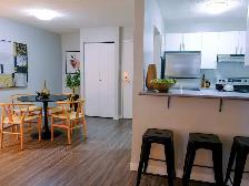 1 Bed 1 Bath Apartment For Rent - Photo 4