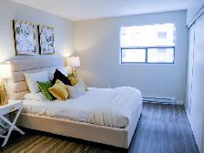 1 Bed 1 Bath Apartment For Rent - Photo 5