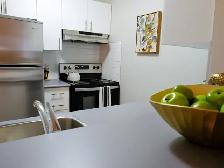 1 Bed 1 Bath Apartment For Rent - Photo 8