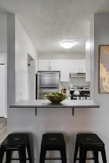 1 Bed 1 Bath Apartment For Rent - Photo 10