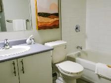 1 Bed 1 Bath Apartment For Rent - Photo 11