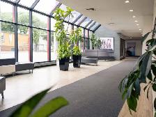 1 Bed 1 Bath Apartment For Rent - Photo 18