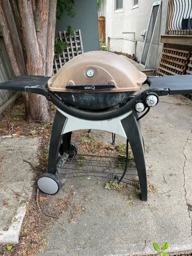 Weber bbq
